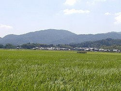 20060825tenjyo (13).jpg